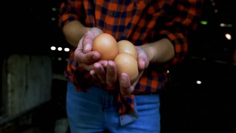 Woman-holding-brown-eggs-in-the-pen-4k
