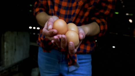 woman holding brown eggs in the pen 4k