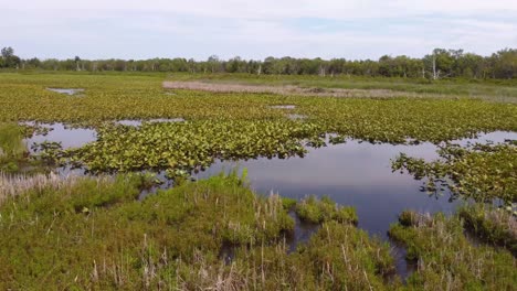 Drone-shot-of-Presque-Isle-State-Park-in-Erie,-Pennsylvania