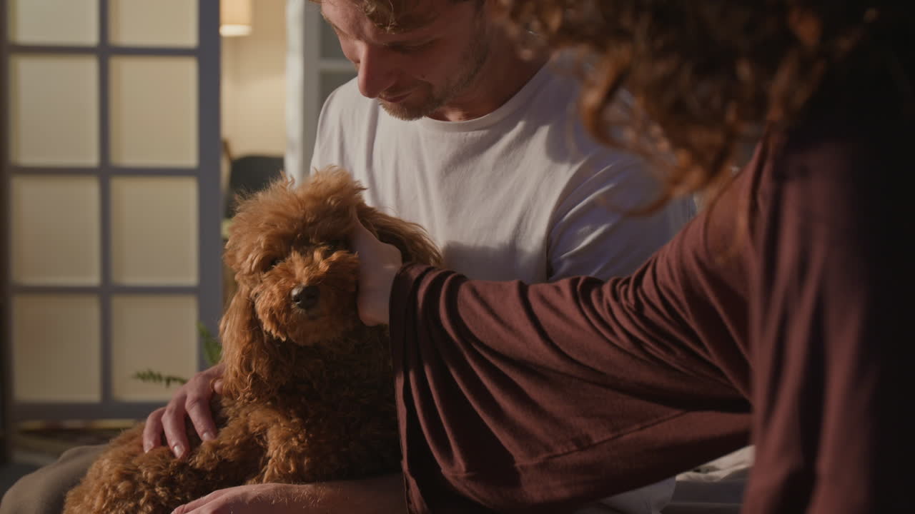 A person bonding with their poodle