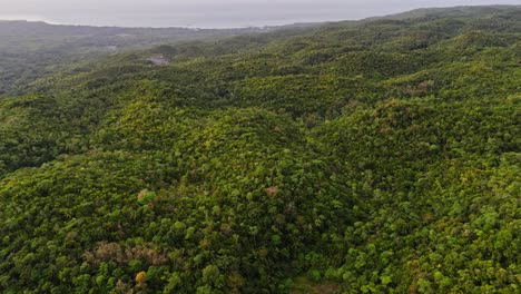 Imágenes-Lentas-De-Drones-Sobre-La-Jungla-De-Siquijor-En-Filipinas