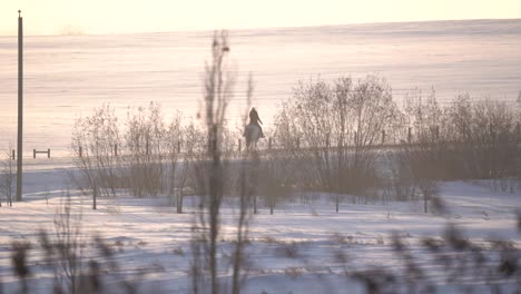 Wunderschöne-Zeitlupenaufnahme-Einer-Frau,-Die-An-Einem-Verschneiten-Wintertag-Auf-Einem-Pferd-Reitet