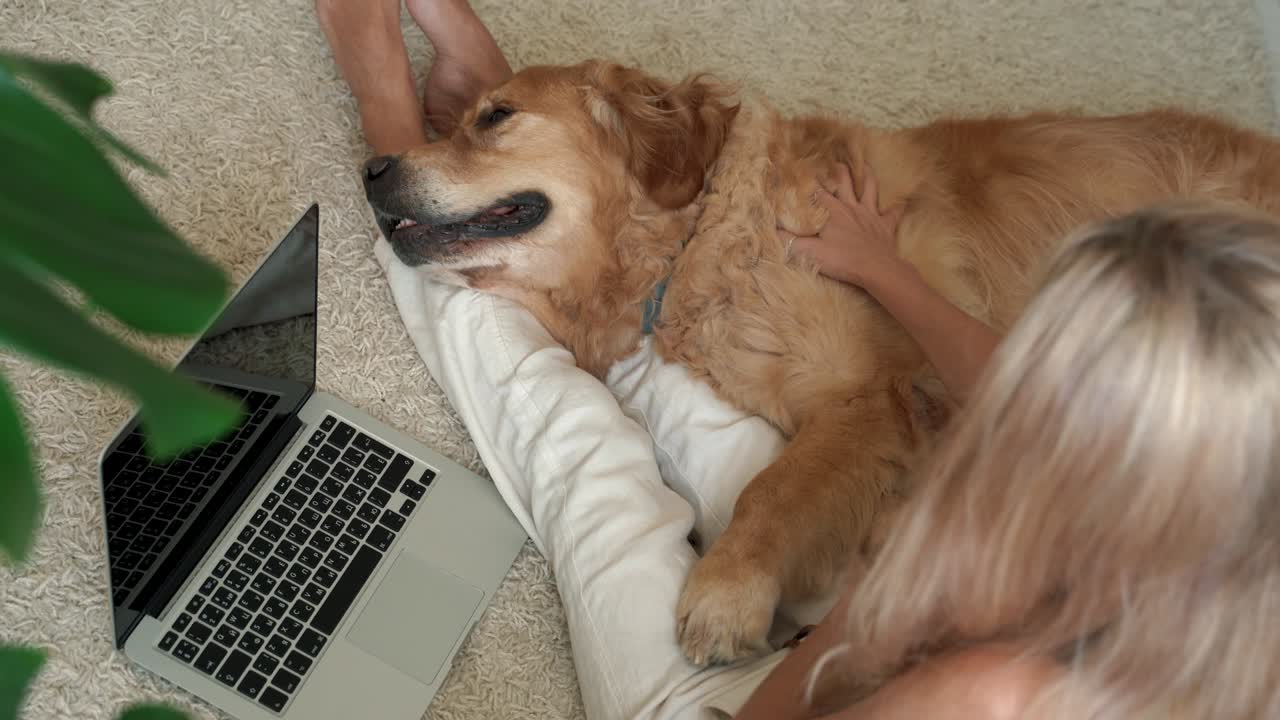 골든 리트리버 개와 여성 소유자 부드러운 여성