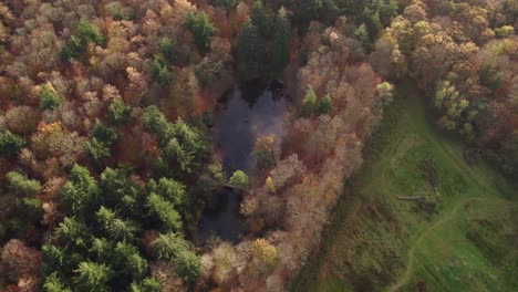 Top-down-view-of-pond-Fonteinbos-Oudemirdum-with-autumn-colors,-aerial