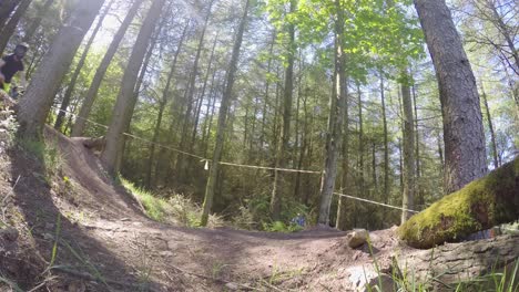 dos ciclistas de montaña cabalgando cuesta abajo a alta velocidad en pista forestal