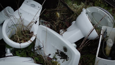 abandoned white toilets with plants growing though them