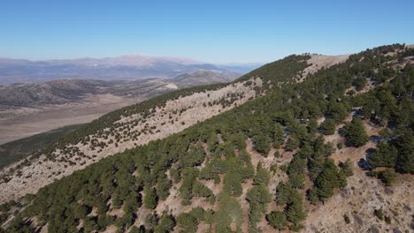 mountain slope aerial view