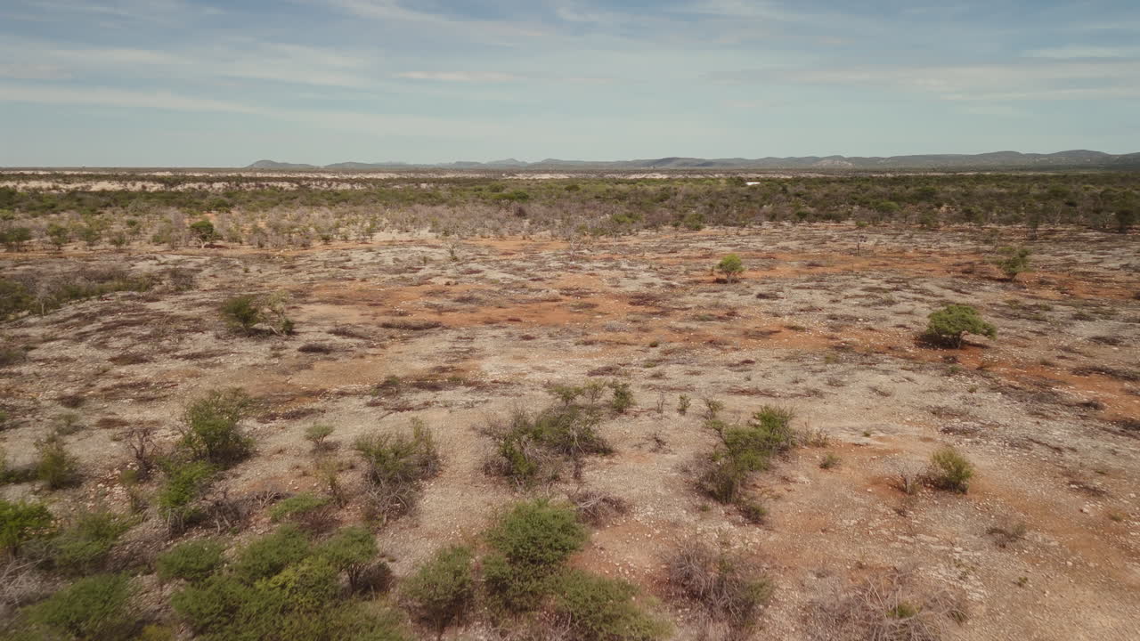 Aerial View of a Dry African Savanna