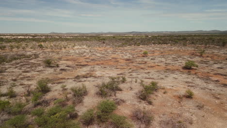 aerial view of a dry african savanna