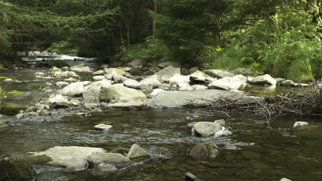 A-calming-stream-of-water-flows-on-a-summers-days