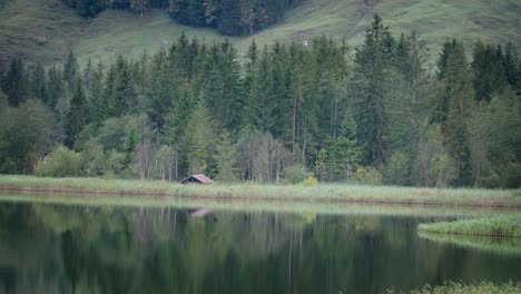 Verlorenes-Kleines-Haus-Neben-Dem-Seeteich-Glatter-Dolly