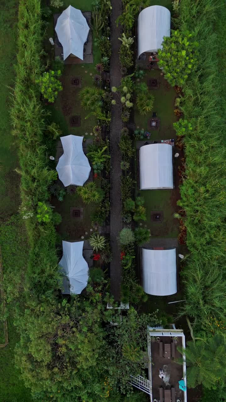 Vista aerea verticale di un resort glamping con tende a cupola e cabine immerse nella foresta tropicale.