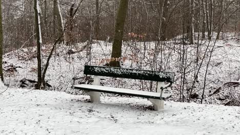 Nevando-Afuera-En-Un-Banco-Del-Parque