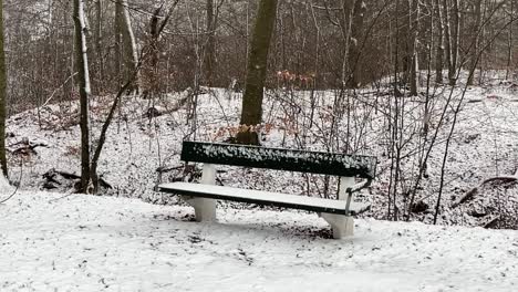 snowing outside on park bench