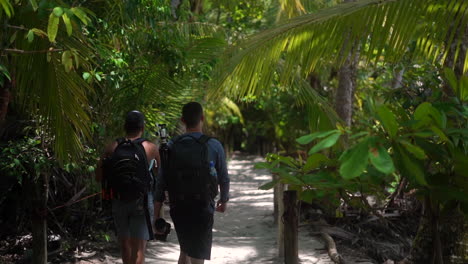 tourists and travel photographers walking along a pathway to the beach through a tropical paradise