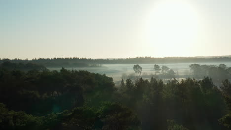 Sand-Drift-Amidst-The-Lush-Green-Forest-In-Soester-Duinen-At-Utrecht,-Netherlands