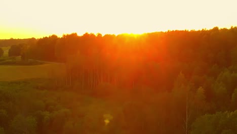 Aerial-Shot-Of-Dazzling-Wild-Green-Forest-At-Sunset-Time,-USA