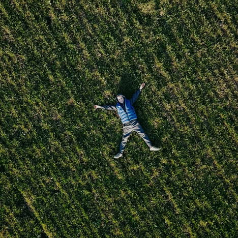 little boy on a field in the sunlight enjoying nature. aerial view square video