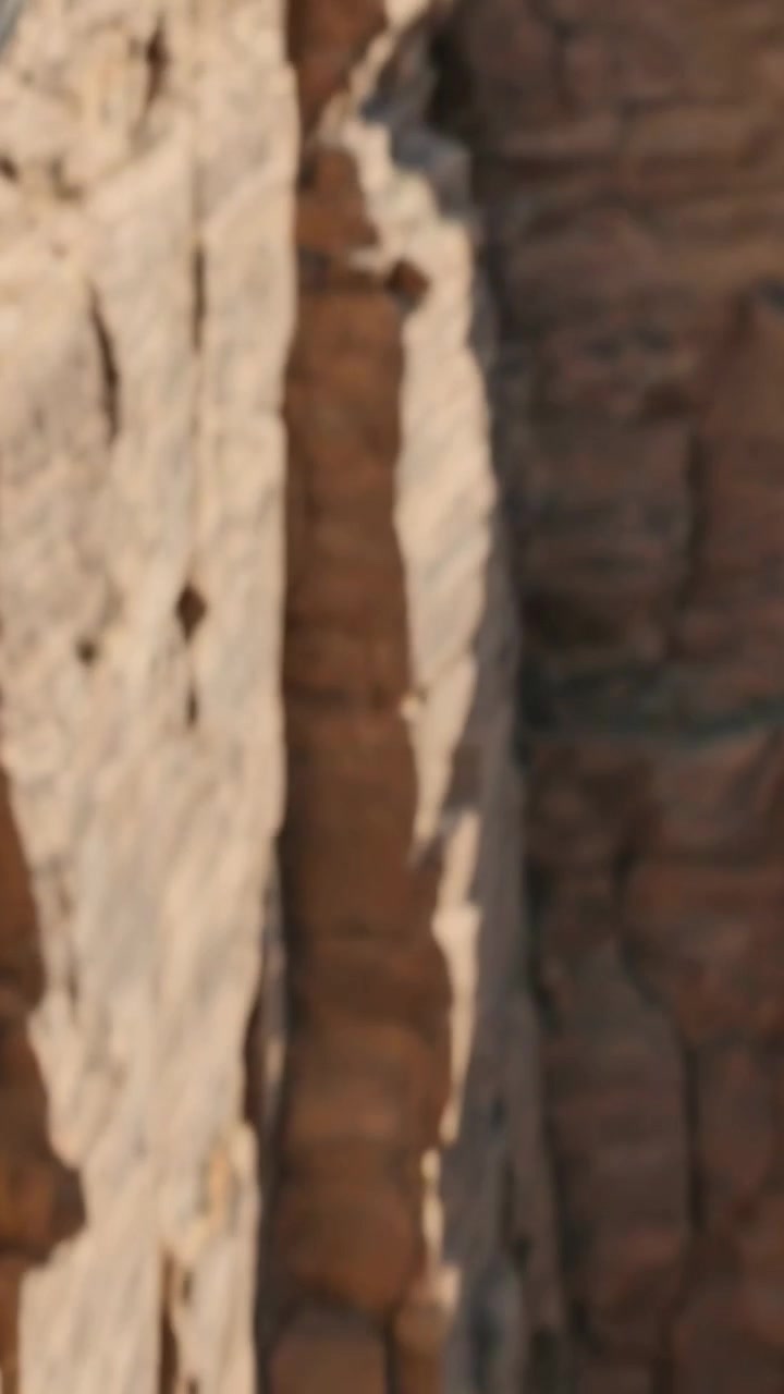 Vertical video: Gliding eagle riding cliff updraft, tracking canyon rim and revealing talus