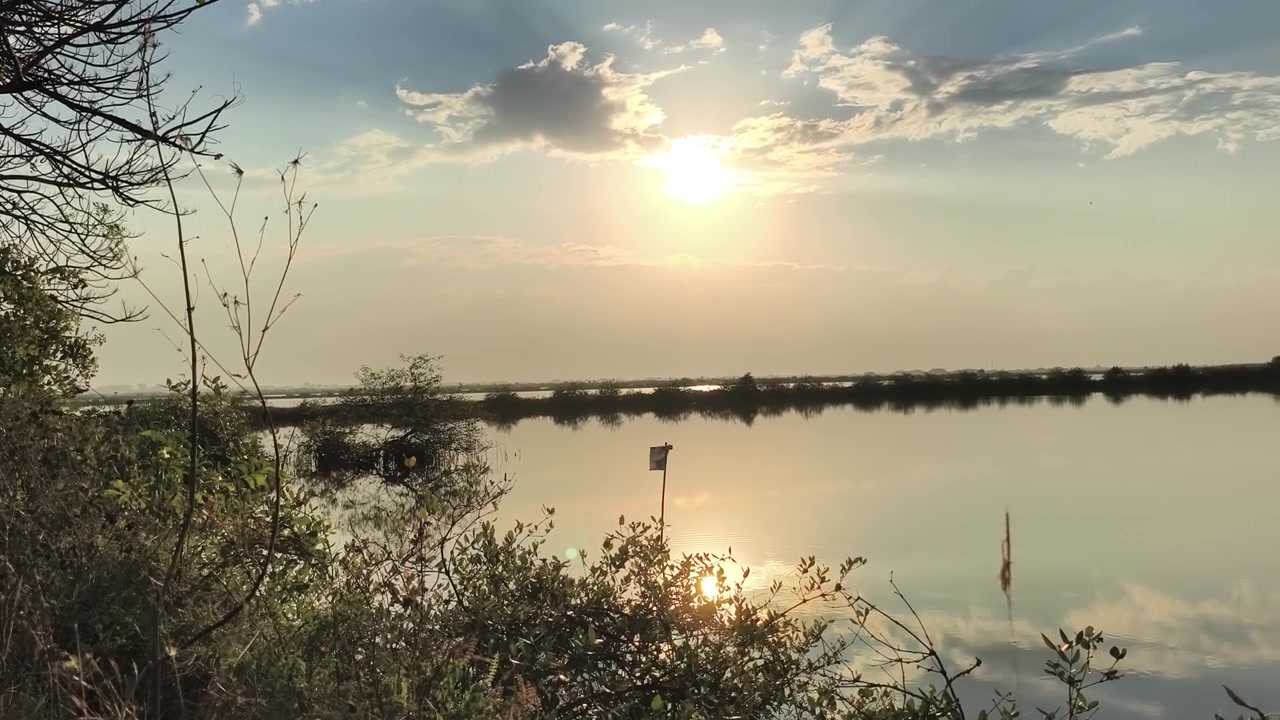 Tramonto sereno su un lago calmo con vegetazione lussureggiante.