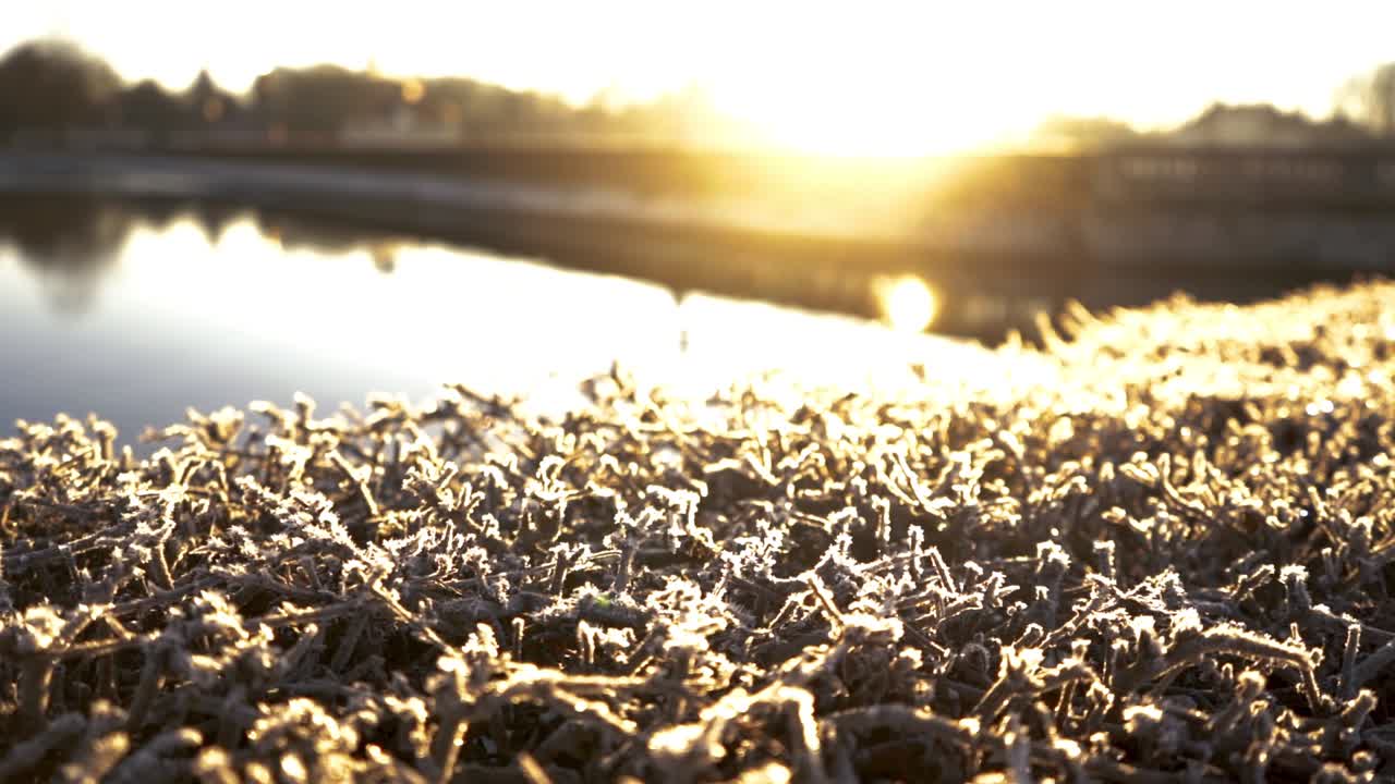 부시에 흰 서리와 함께 놀라운 아침 일출