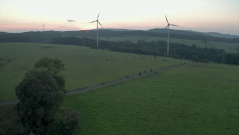 Centrales-Eólicas-Con-Vacas-Alrededor-Pastando-En-La-Pradera