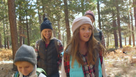 handheld front view of a family walking along a forest trail