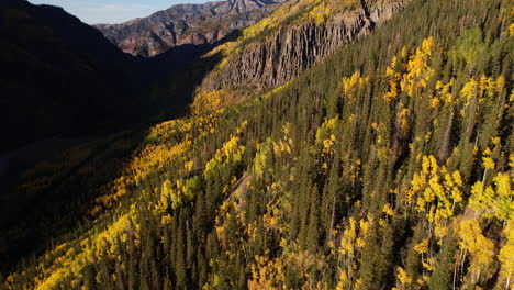 Vista-Aérea-De-Los-Colores-Del-Follaje-Otoñal,-Bosque-De-Ladera-En-El-Paisaje-De-Colorado-En-La-Hora-Dorada-Del-Sol