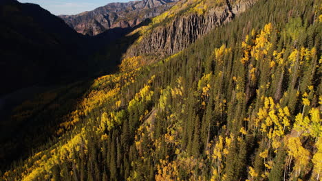 aerial view of autumn foliage colors, hillside forest in landscape of colorado on golden hour sunlight