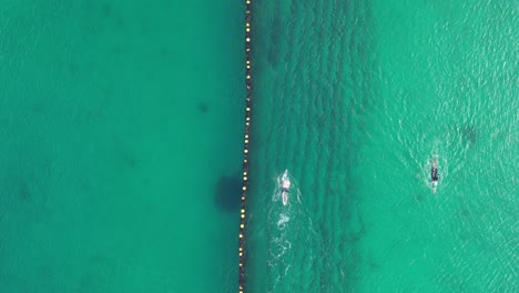 Aerial-top-down-shot-of-active-swimmer-in-ocean-protected-by-net-against-sharks-in-Western-Australia---Establishing-drone-flyover