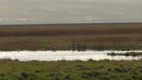 Filmado-En-Parkgate