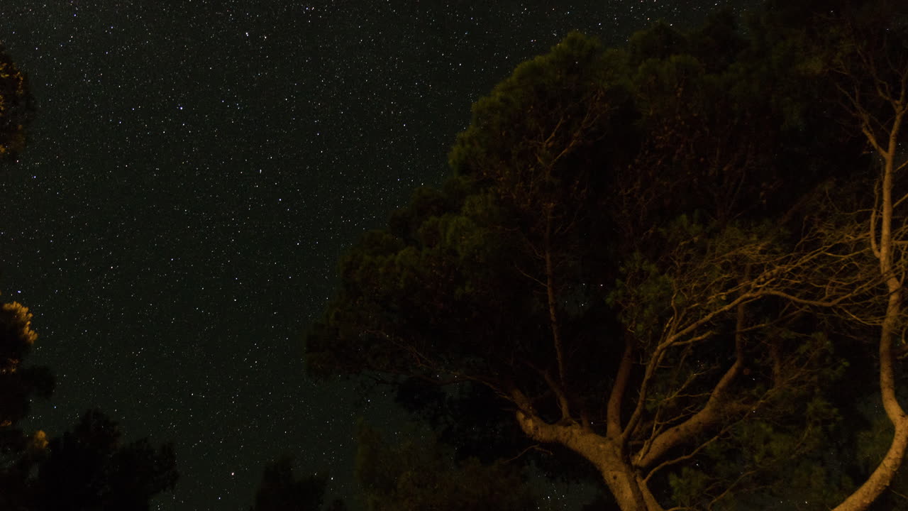 lapso de tiempo nocturno mientras las estrellas en el cielo se mueven, los árboles en primer plano