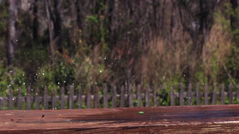 Green-Water-Balloon-Bursts-on-a-wooden-bench