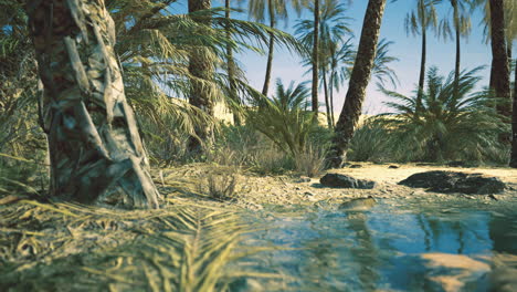 lush tropical oasis with palm trees and tranquil water under the blue sky