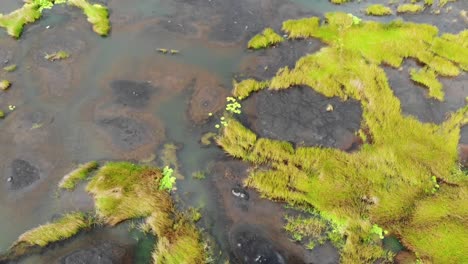 pitch - bitumen lake on the island of trinidad and tobago in the caribbean shot on dji mavic air