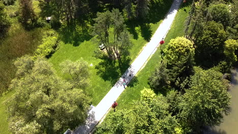 drone volando sobre un sendero en un hermoso parque