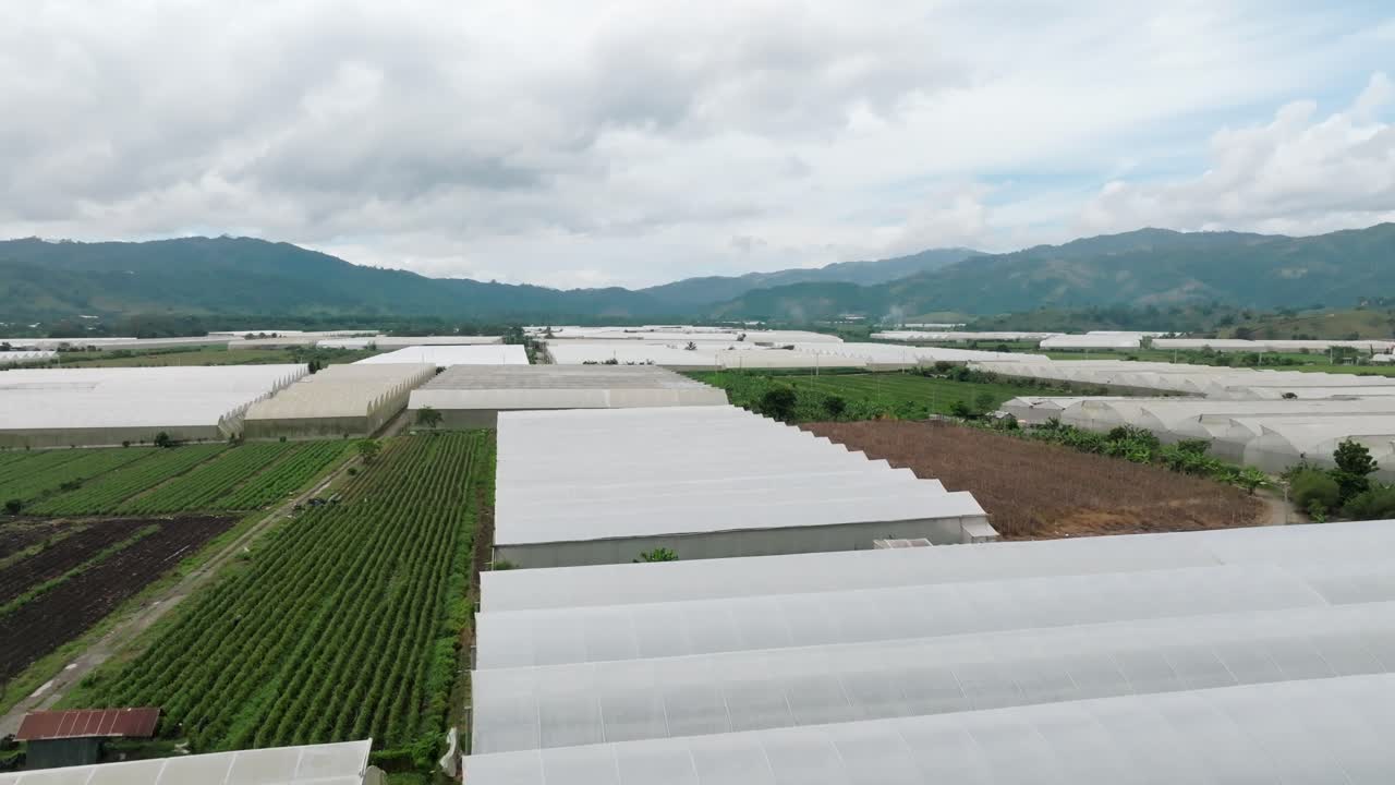 Farming greenhouse in Ranco Arriba, Ocoa, Dominican Republic