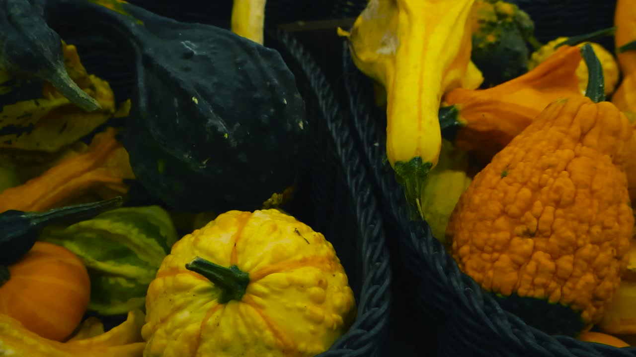 Smooth downward angle tracking over piles of festive decorative pumpkins stacked in basket crates at supermarket or farmers market. Autumn seasonal vegetables vary in size, shape and surface pattern