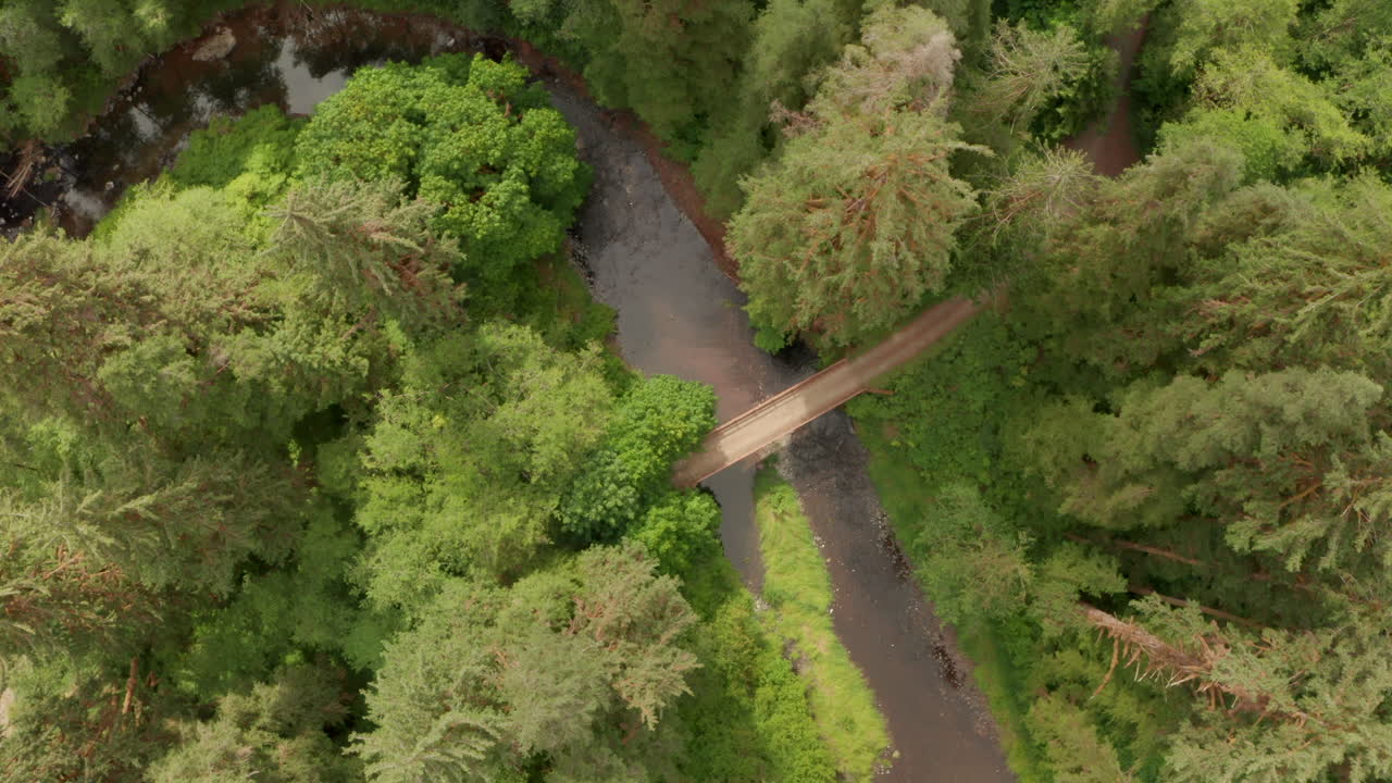 descendiendo de arriba hacia abajo toma aérea de un puente fluvial en un bosque