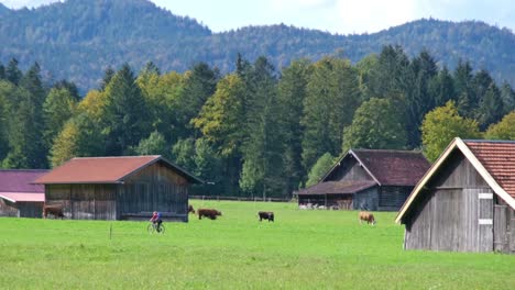 green alpine meadow with many small wooden cabins