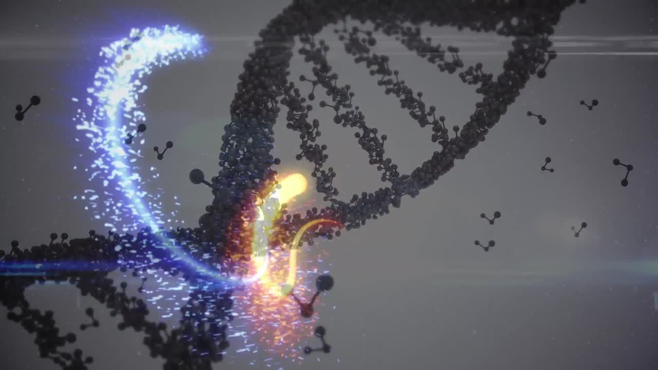 크리스마스 장식물 위에 보블로 크리스마스 인사 의 애니메이션