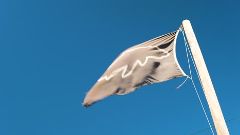 black shark spotters flag waving in the wind against blue sky