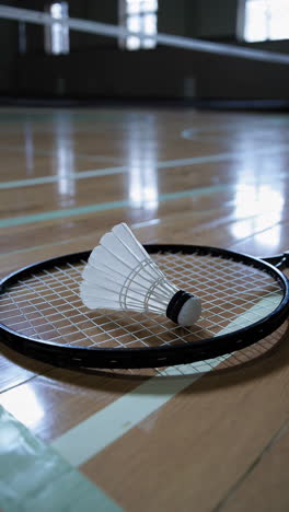 badminton racquet and shuttlecock on court