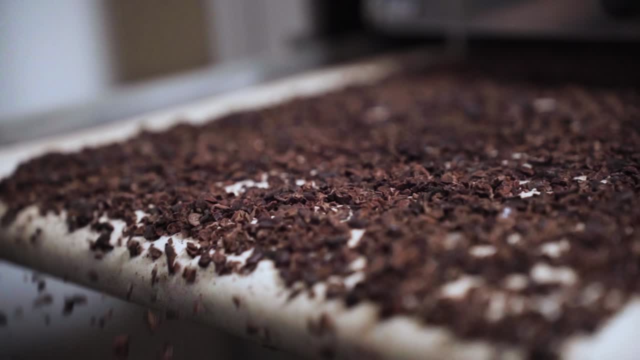 los granos de cacao transportados en un transportador en una fábrica de chocolate