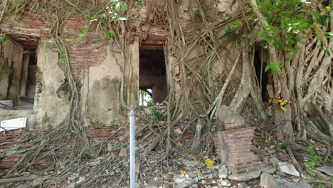 pan shot: peak into the window of the ancient temple of wat bang kung in thailand with roots growing around