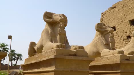 Observing-the-Luxor-Temple-in-Luxor,-Egypt,-has-grandeur-and-historical-significance,-and-evokes-a-sense-of-awe-and-admiration-for-ancient-civilization