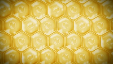células de la piel humana. cada célula con membrana. terapia celular. tratamiento de enfermedades. núcleo y vacuola. regeneración. animación de bucle.