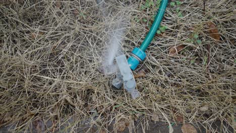 watering the dry grass with a sprinkler