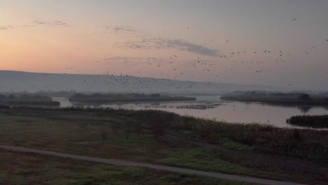 sunrise over a marsh with migratory birds