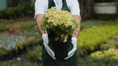 jardinier posant à l'extérieur